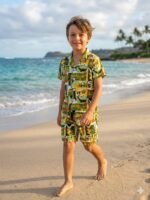 Combo Offer Boys 2-8 Years, 3 sets combo Hawai Beach Shirt - Image 10